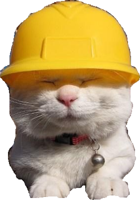 A photo of a silly cat with a construction helmet